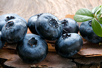 Vitaminreiche Blaubeeren